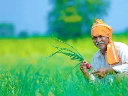 Govt. Scheme : PKVY పథకం ద్వారా రైతులు రూ. 50,000 పొందవచ్చు