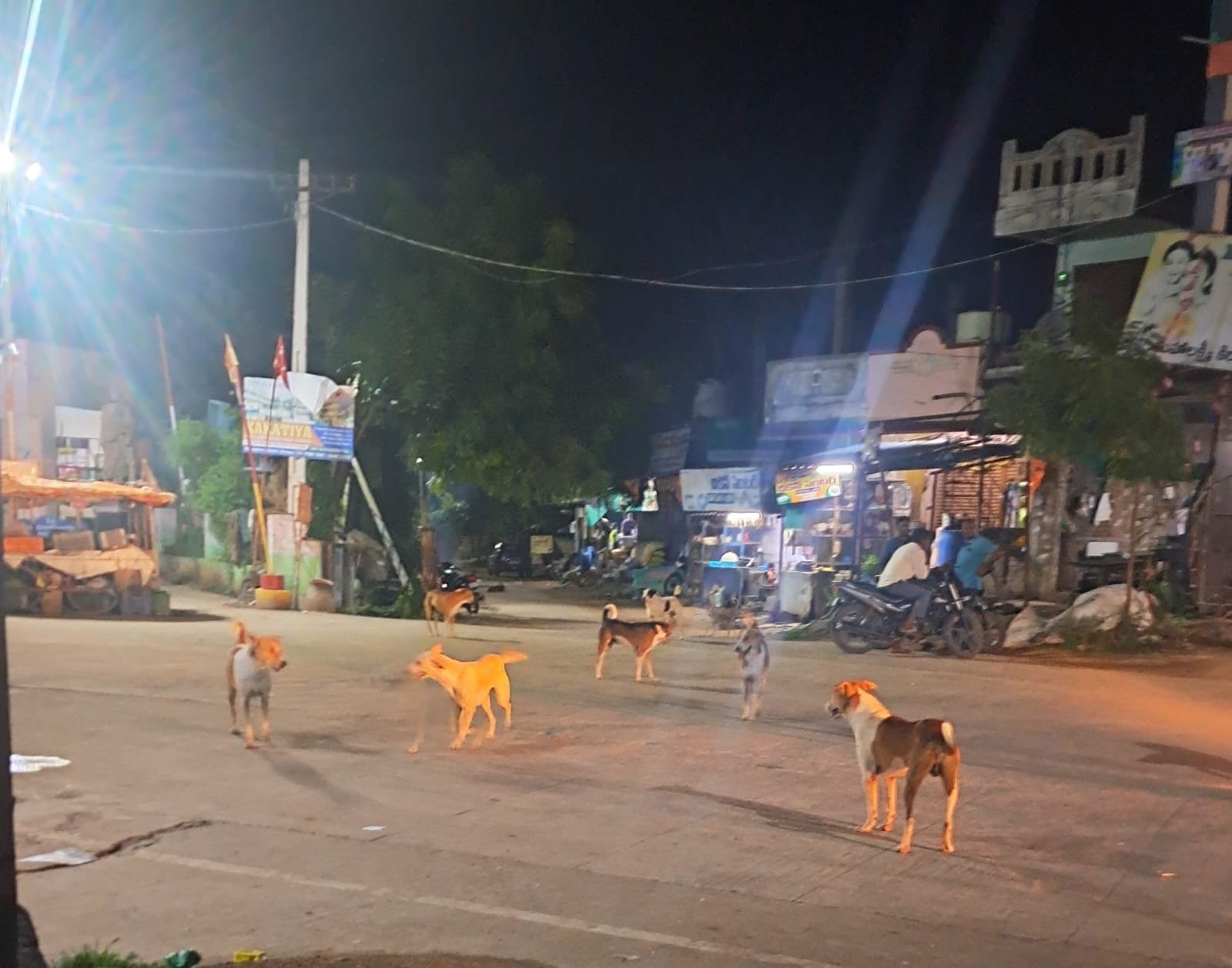విధుల గుండా కుక్కల స్వైర విహారం....&nbsp; దడ పుట్టిస్తోన్న కుక్కల గుంపు...