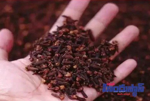 పొట్టను లవంగంతో కరిగించవచ్చు..!